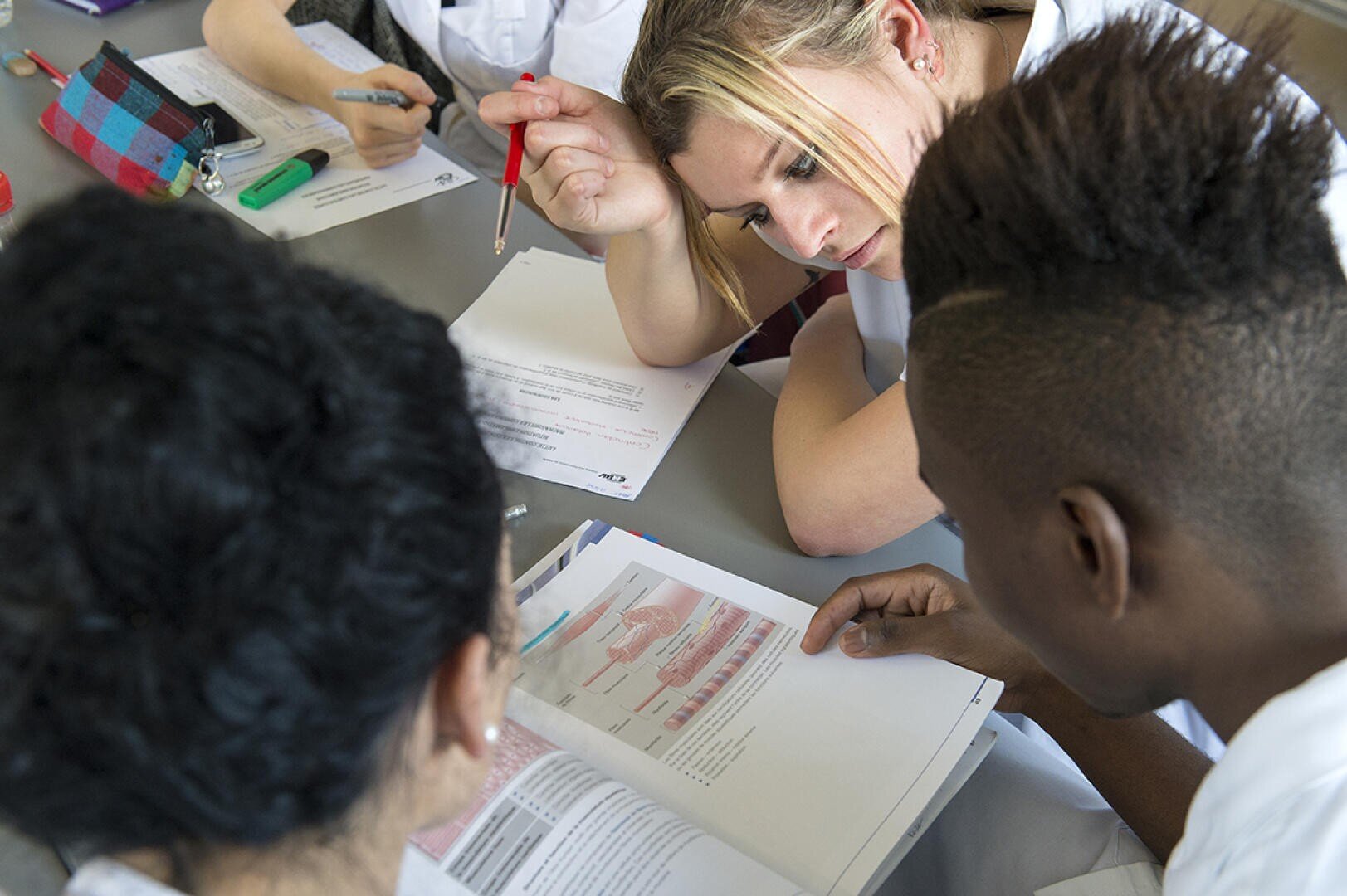 Trois étudiants sont assis autour d'une table et étudient un manuel contenant des diagrammes anatomiques. L'un d'eux pointe le livre avec un stylo, tandis que les autres le regardent attentivement. Des papiers, des livres et une trousse à crayons sont éparpillés sur la table.