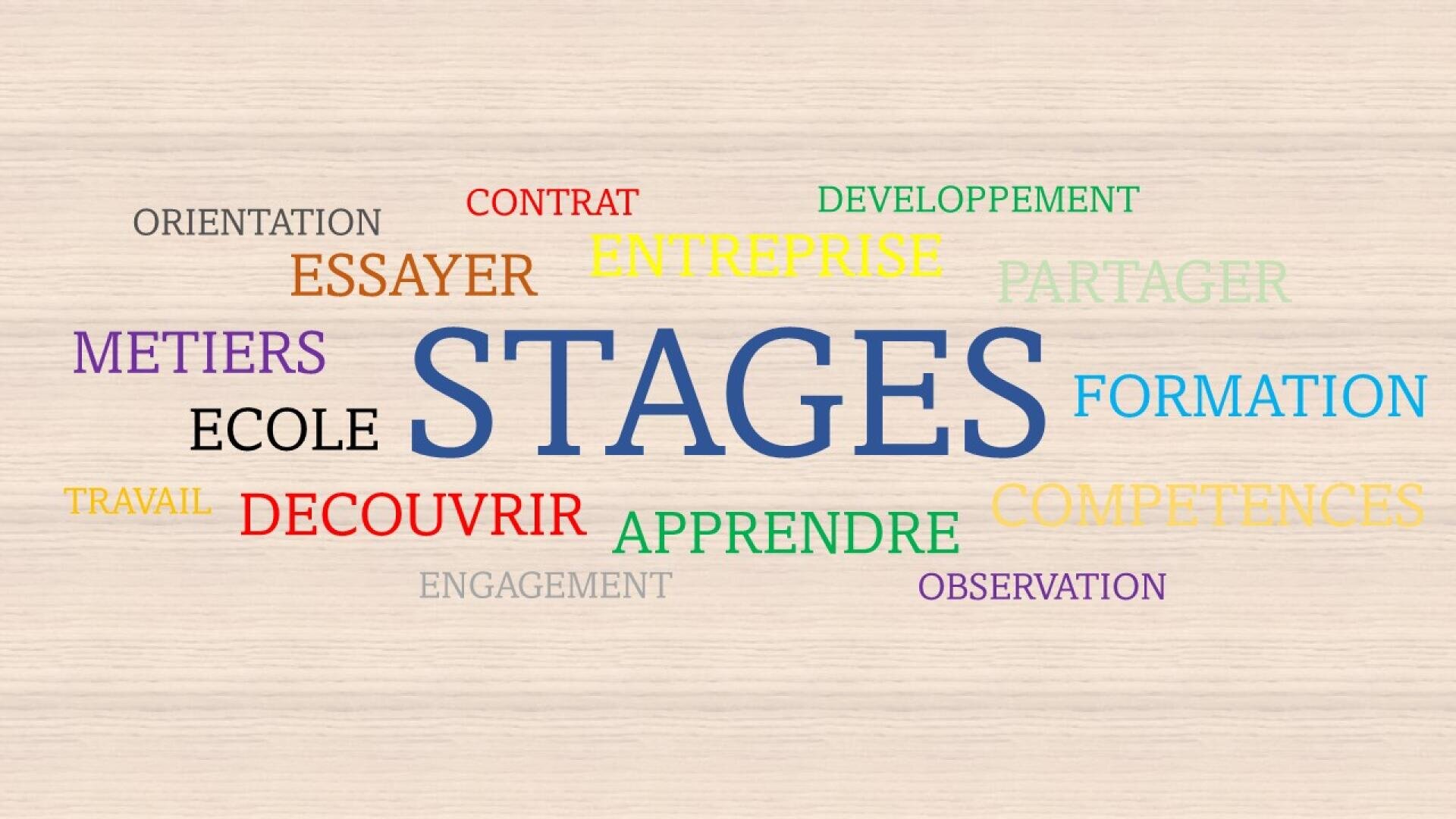 Nuage de mots sur les stages en français, comprenant des mots comme STAGES, ENTREPRISE, APPRENDRE, FORMATION, DECOUVRIR, ESSAYER, OBSERVATION, et COMPÉTENCES sur un fond de bois clair.