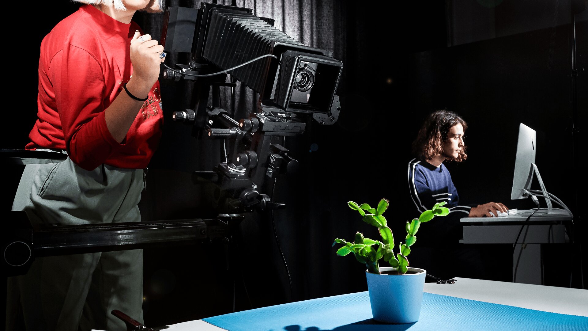 Une personne règle un grand appareil photo sur un trépied, en faisant la mise au point sur une plante en pot sur une surface bleue, tandis qu'une autre personne travaille sur un ordinateur dans un studio faiblement éclairé.