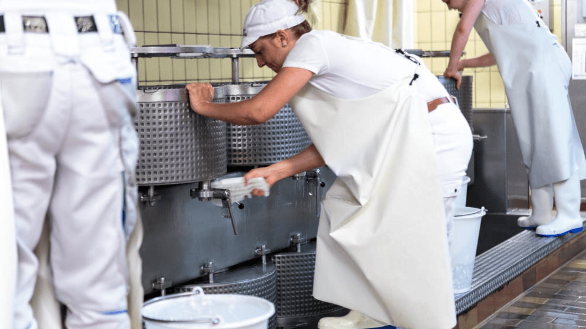 Un travailleur vêtu de blanc et coiffé d'une casquette nettoie un grand réservoir métallique dans une laiterie ou une usine de transformation alimentaire, à l'aide d'un tuyau d'arrosage. Deux autres travailleurs, habillés de la même manière, sont partiellement visibles à proximité. Des seaux sont posés sur le sol.