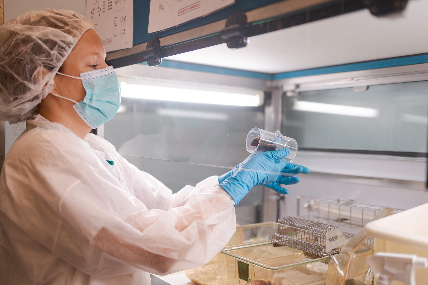 Une personne portant des vêtements de protection, un masque et des gants travaille dans un laboratoire, versant un liquide dans un bécher sous une hotte.